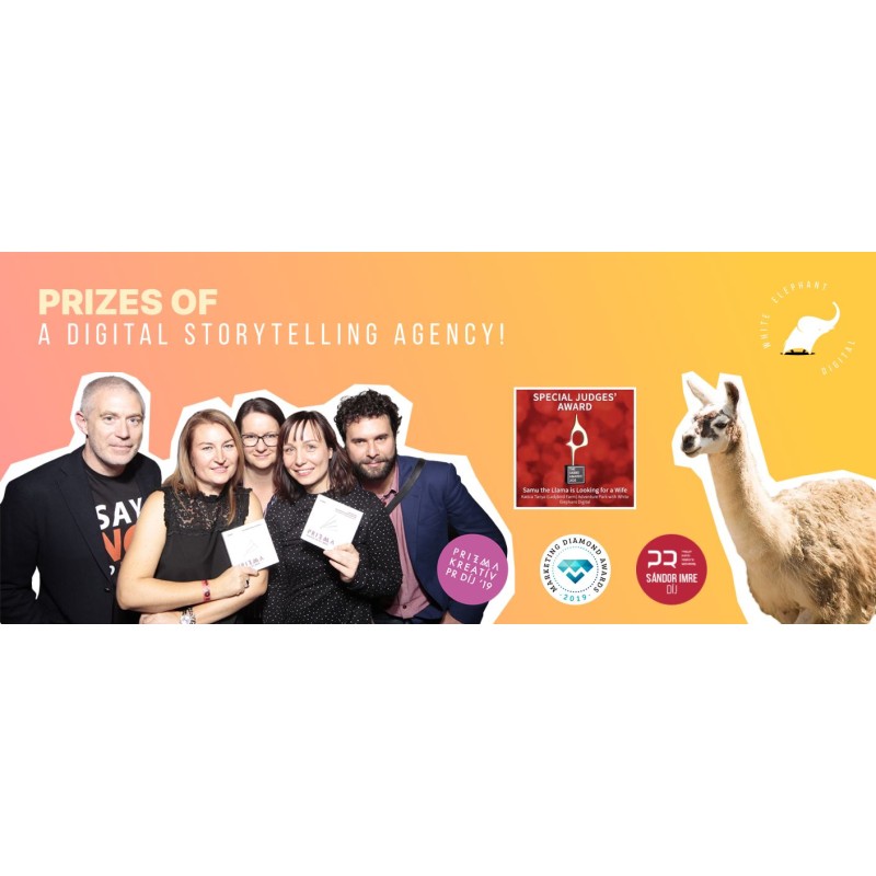 Samu, a láma feleséget keres