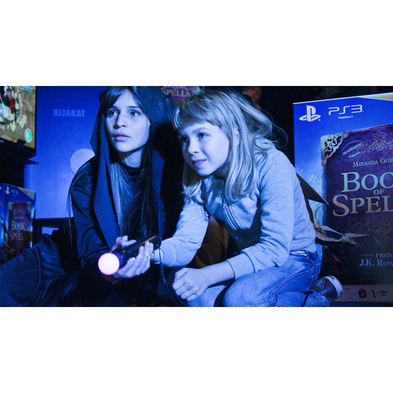 Sony Magyarország - hírnévmenedzsment